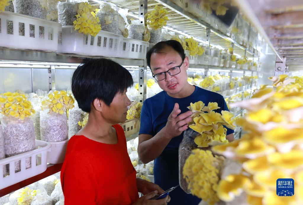 至尊炸金花下载